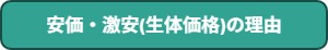 パグの子犬が安価・激安(生体価格)の理由